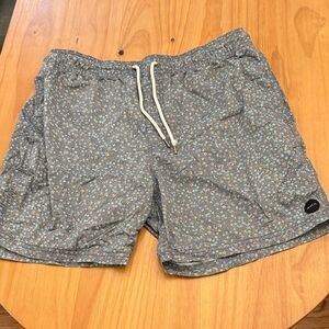 RVCA Blue and Gray Floral Patterned Shorts